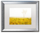 PIPA Fine Art 'Dreams of Goldenrod and Fog' Matted Framed Art, 20x16