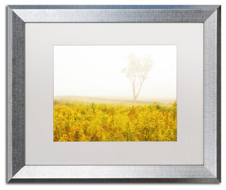 PIPA Fine Art 'Dreams of Goldenrod and Fog' Matted Framed Art, 20x16