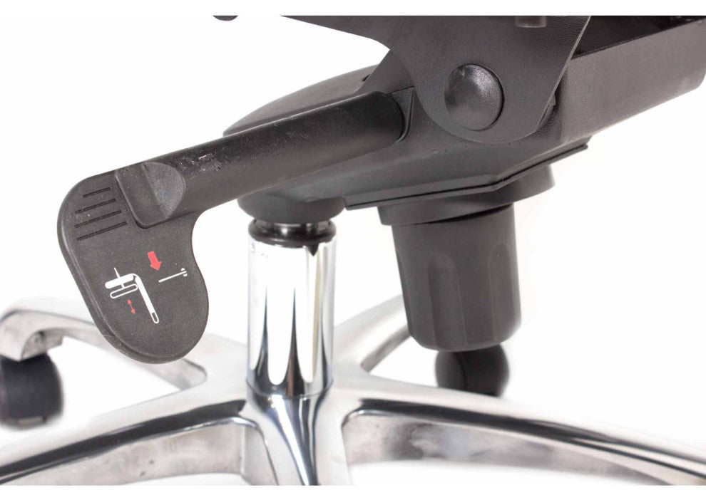 Contemporary Omega Swivel Office Chair High Back Black - Black