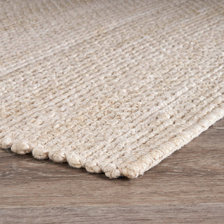 Contemporary Organic Jute Area Rug, Ivory, 9"x12"