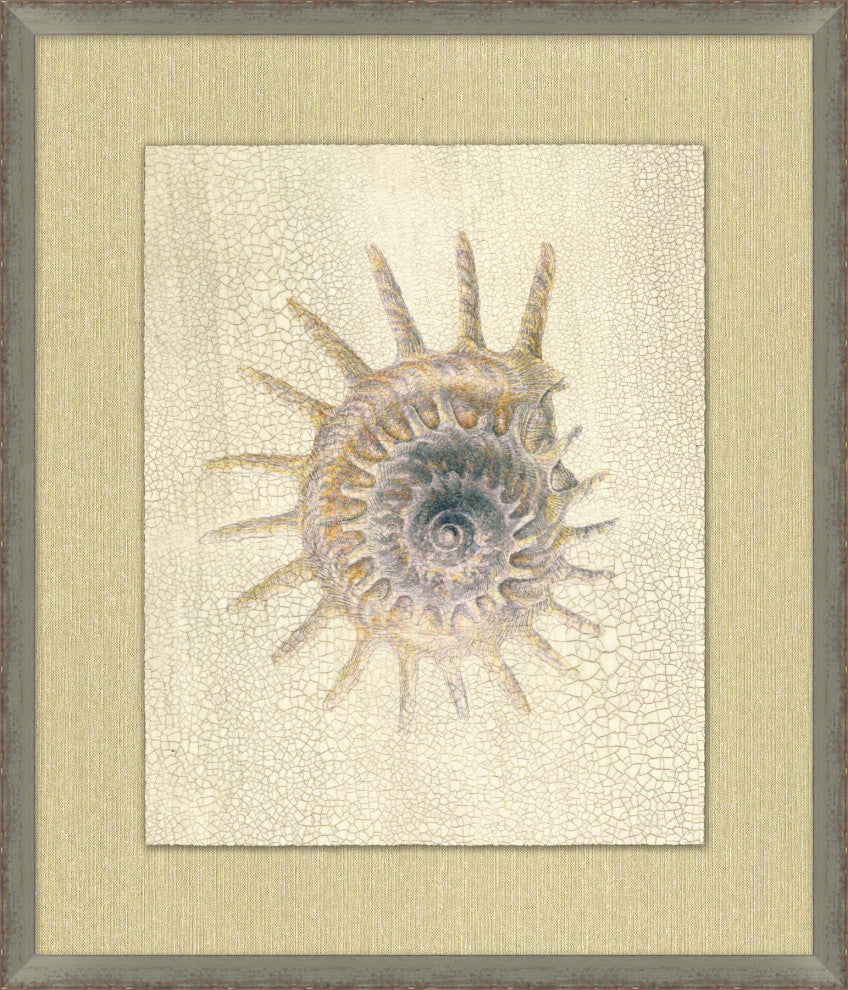 Shell Elegance 6, Giclee Reproduction Artwork