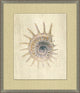 Shell Elegance 6, Giclee Reproduction Artwork