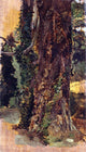 Emilio Sala y Frances Viejo Arbol, 18"x27" Wall Decal Print