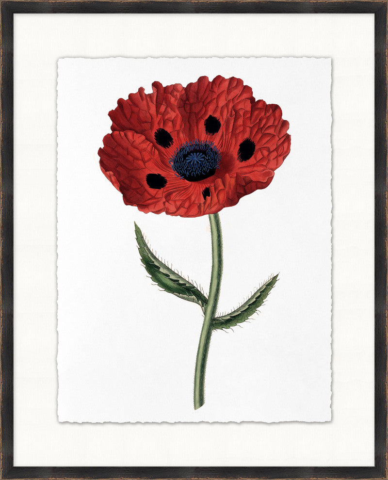 Red Flower 6, Giclee Reproduction Artwork