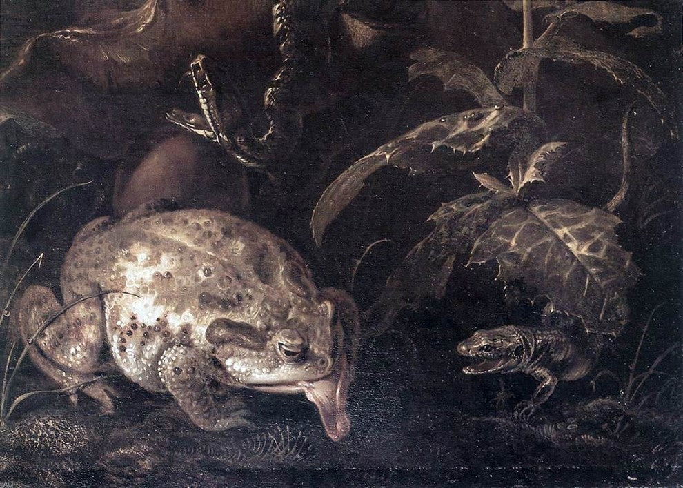 Otto Marseus Van Schrieck Still-Life Wall Decal