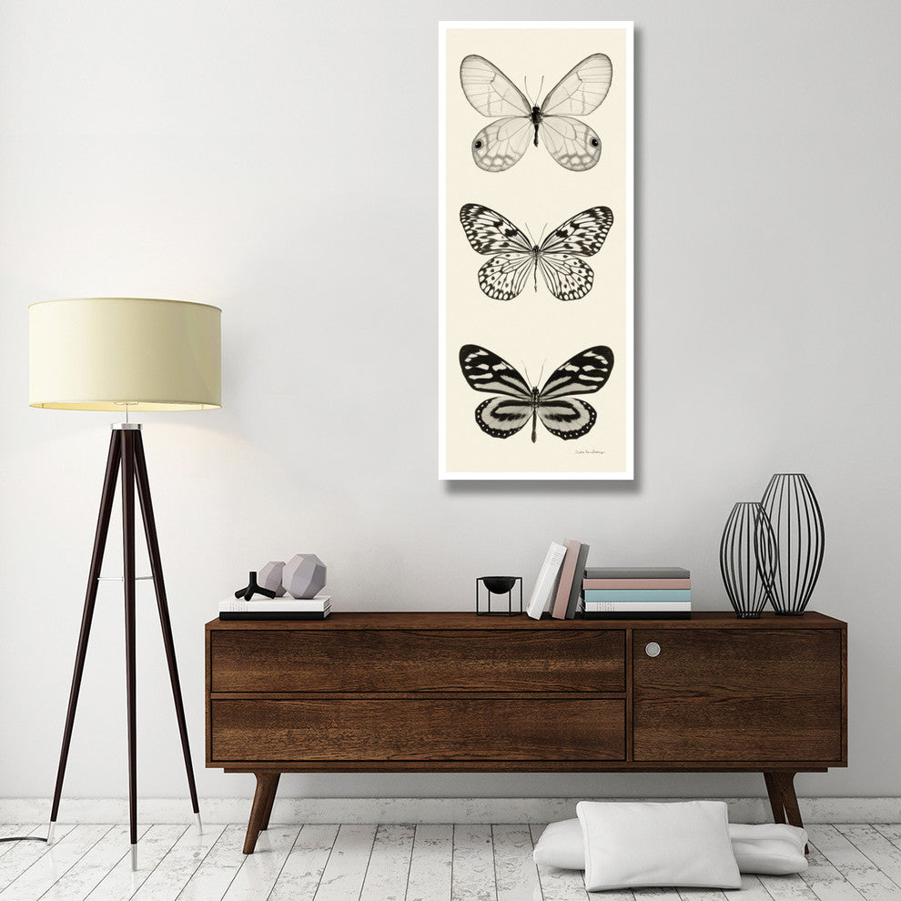 "Butterfly - BW Panel II" Digital Paper Print by Debra Van Swearingen, 26"x62"