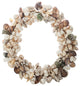 Assorted Natural Shell Wreath, 11" Diameter