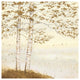 "Golden Birch I Off White" Digital Paper Print by James Wiens, 38"x38"
