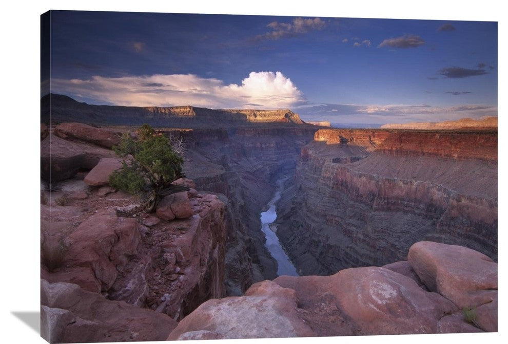 "Colorado River-Toroweap Overlook, Grand Canyon National Park, Arizona" Artwork
