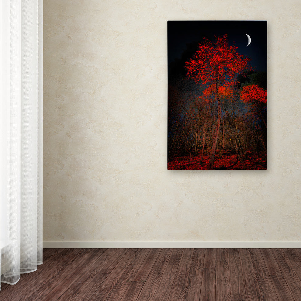 Philippe Sainte-Laudy 'The Why' Canvas Art, 22"x32"