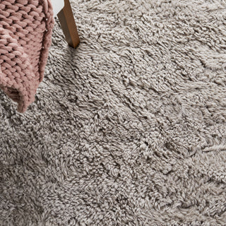 Safavieh Casablanca Collection CSB701F Rug, Grey, 8' x 10'