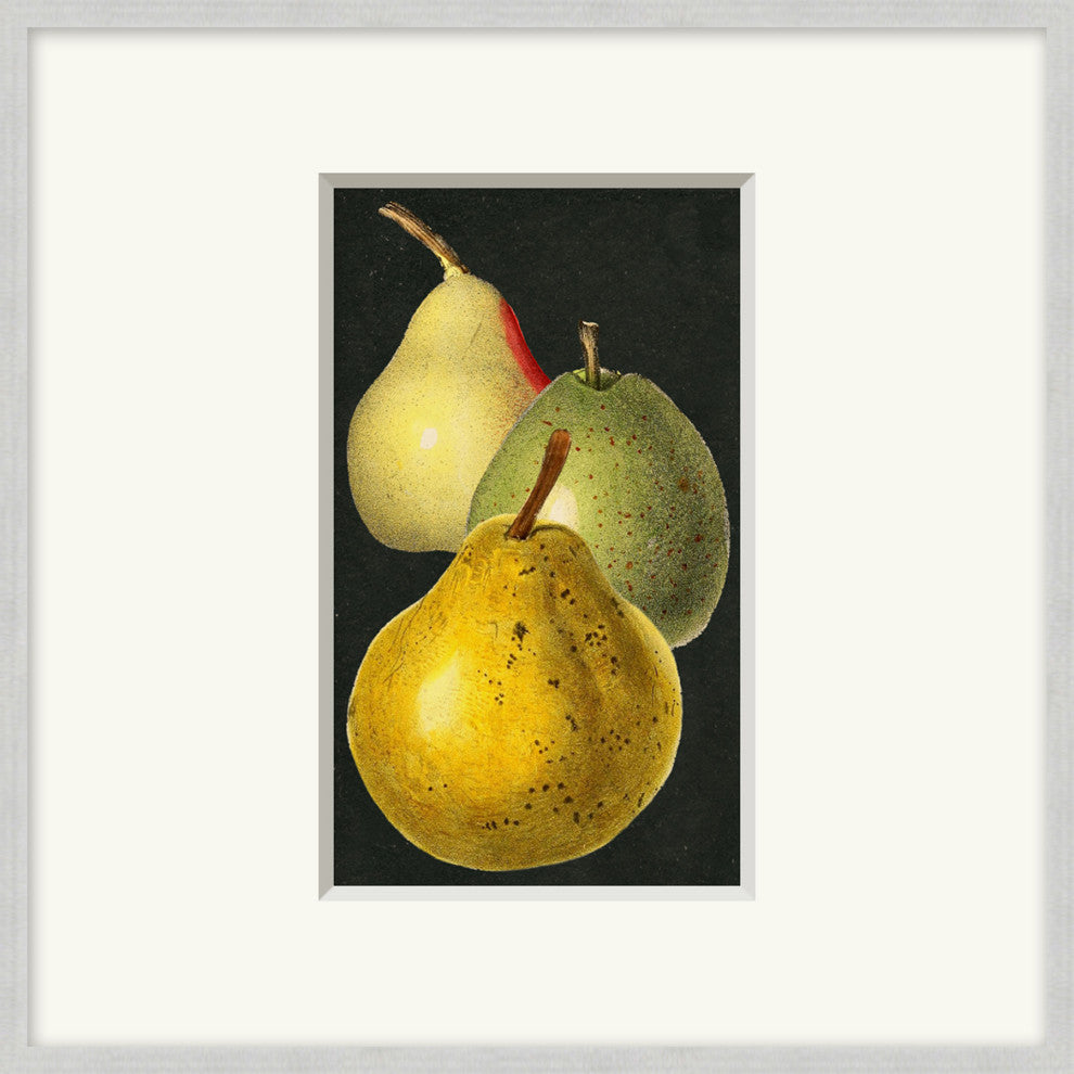 Fruit Study 10, Giclee Reproduction Artwork