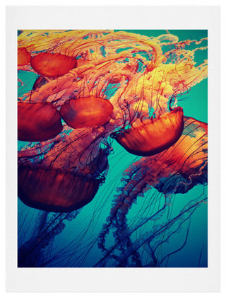 Deny Designs Krista Glavich Jellyfish 7 Art Print