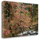 "Dogwoods And Sequoia" By Alain Thomas, Giclee Print on Gallery Wrap Canvas