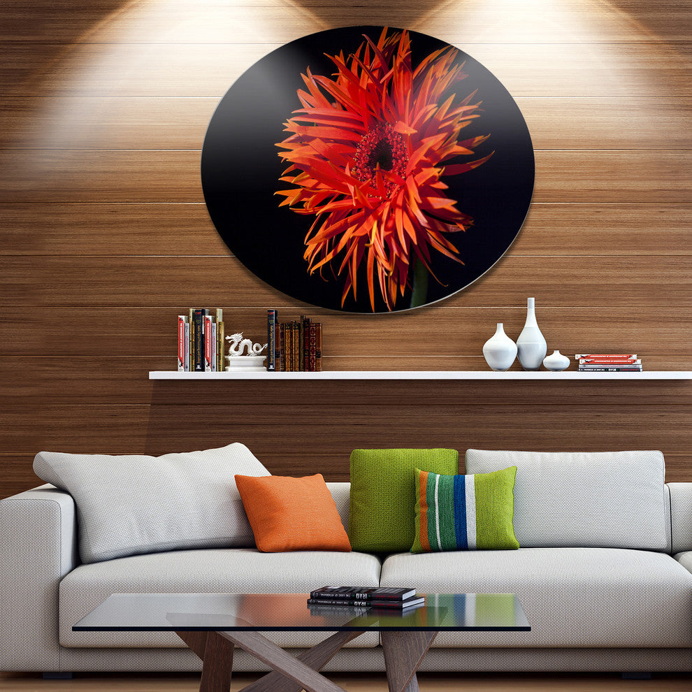 Spider Gerbera Daisy Watercolor, Flowers Large Disc Metal Wall Art, 11"