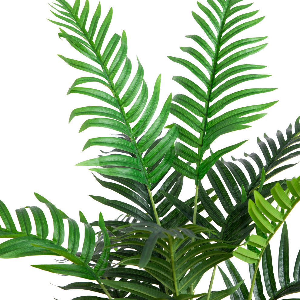 White background with a cropped close-up of leaves and stems.