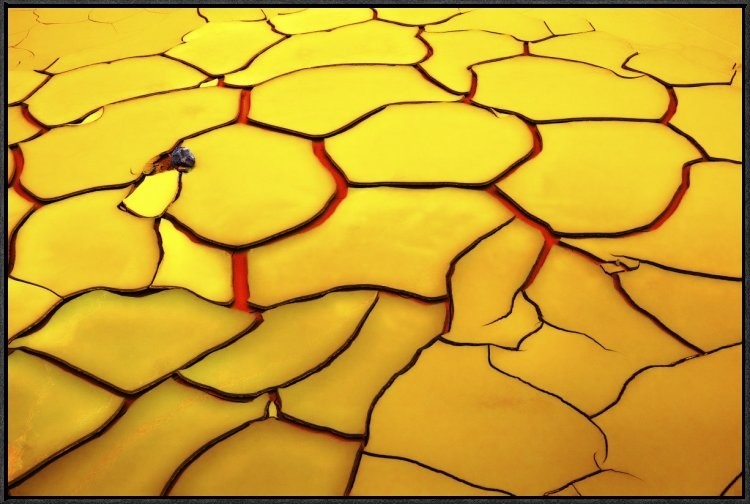 "Yellow Ground, Red Heart" Framed Canvas Giclee by E. De Juan, 37x25"