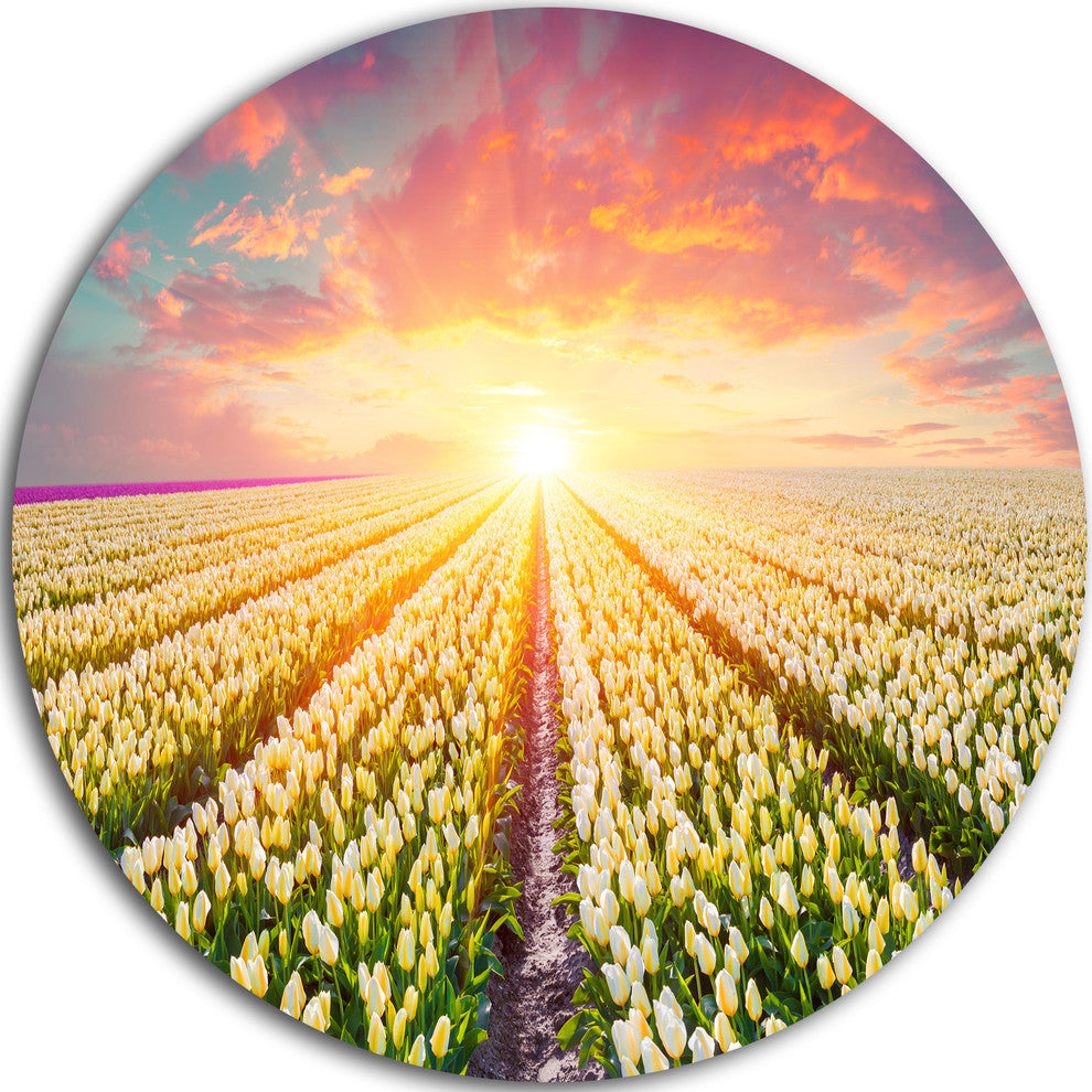 Blooming White Tulips, Landscape Photo Disc Metal Artwork, 23"