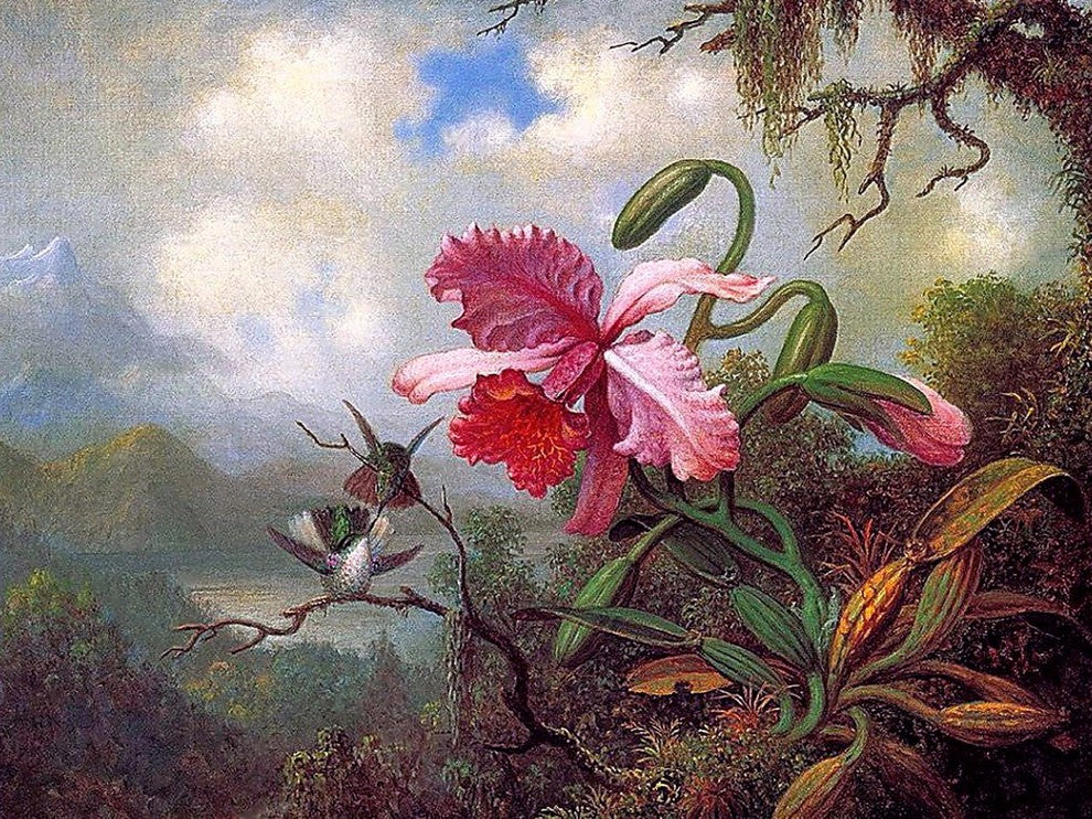 Tile Mural Bright Pink Orchid By Martin Johnson Heade, 6"x8", Matte