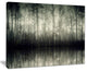 "Beautiful Gray Forest in Germany" Photograph Print, 20"x12"