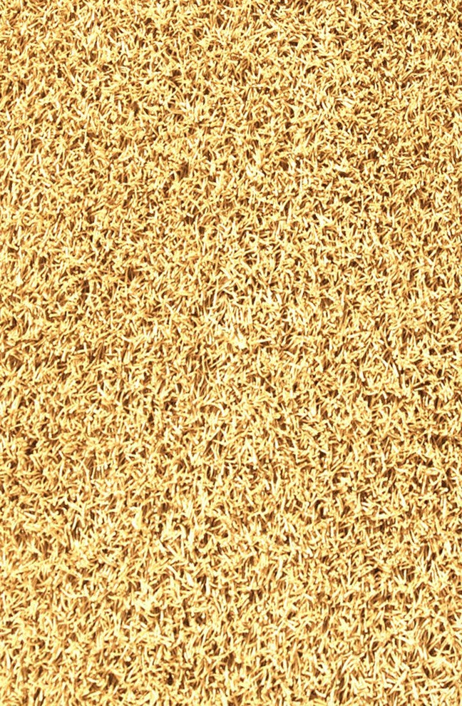 Hand Woven Gold Shag Area Rug