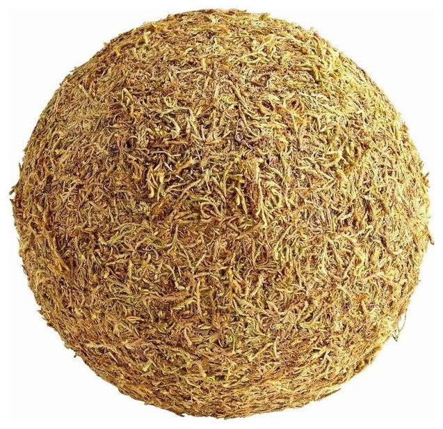 Large St. Augustine Filler