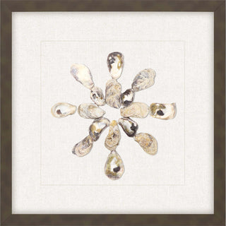 Oyster Shell I Artwork