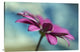 "Pattern Drop" Stretched Canvas Giclee by Heidi Westum, 36x24"
