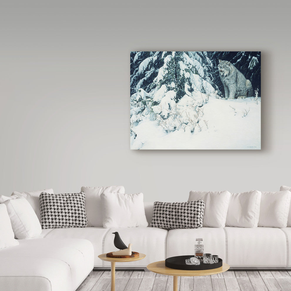 Ron Parker 'Silent Forest Lynx' Canvas Art, 19"x14"