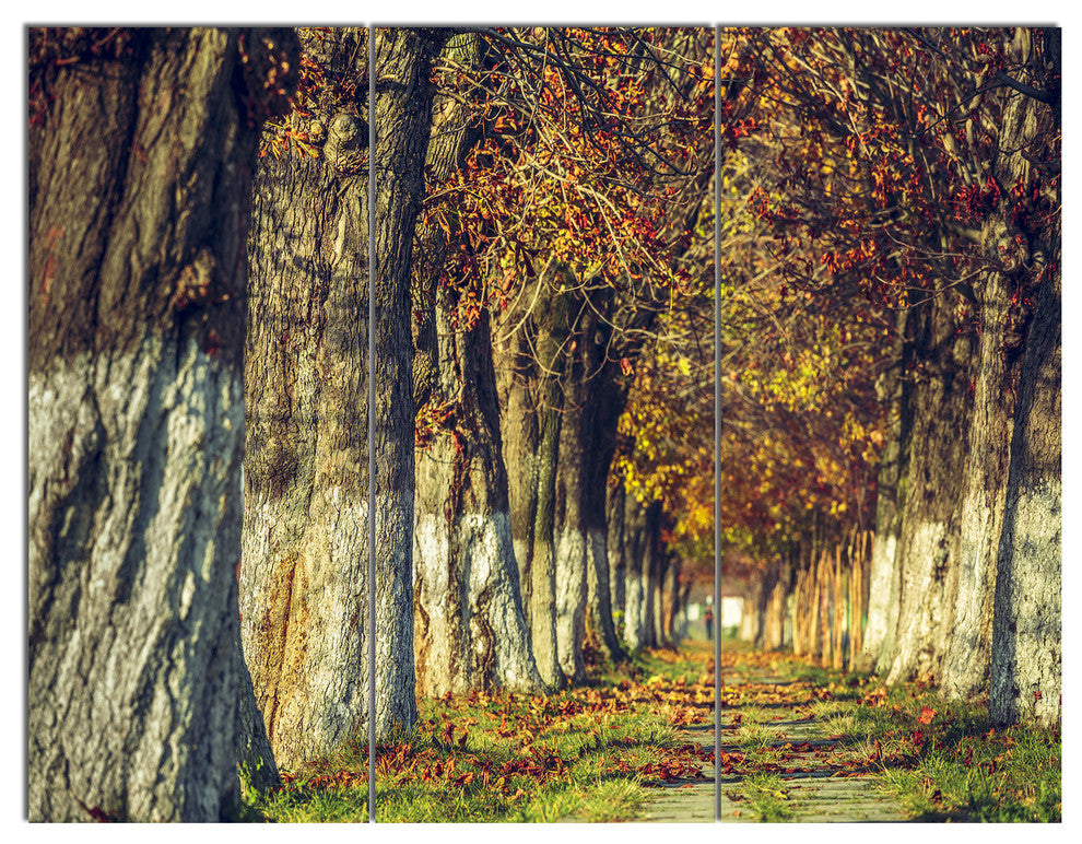 Colorful and Serene Autumn Forest, Modern Forest Canvas Art, 36x28, 3 Panels