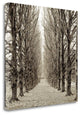 "Hampton Gates Promenade - 3" By Alan Blaustein, Giclee on Gallery Wrap Canvas