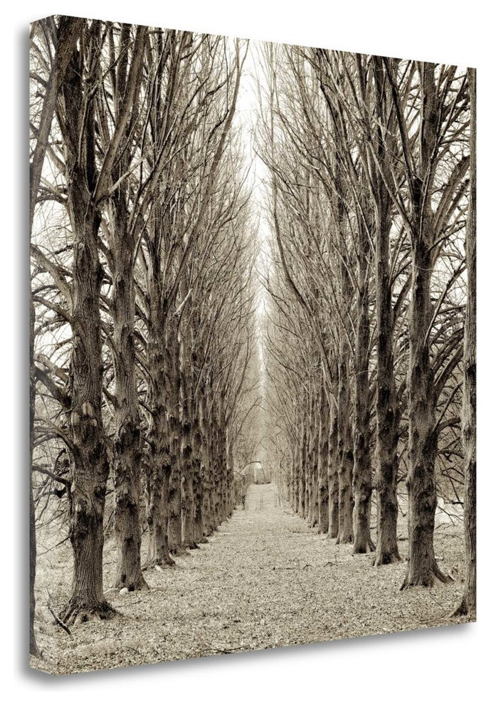 "Hampton Gates Promenade - 3" By Alan Blaustein, Giclee on Gallery Wrap Canvas