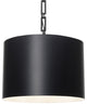 Alston 6 Light Chandelier in Matte Black