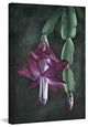 "Gentle Reminders" Painting Print on Canvas by Robertson