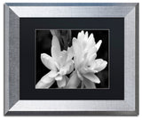Kurt Shaffer 'Tuber Rose in Black and White' Matted Framed Art