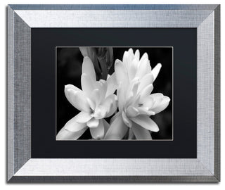 Kurt Shaffer 'Tuber Rose in Black and White' Matted Framed Art