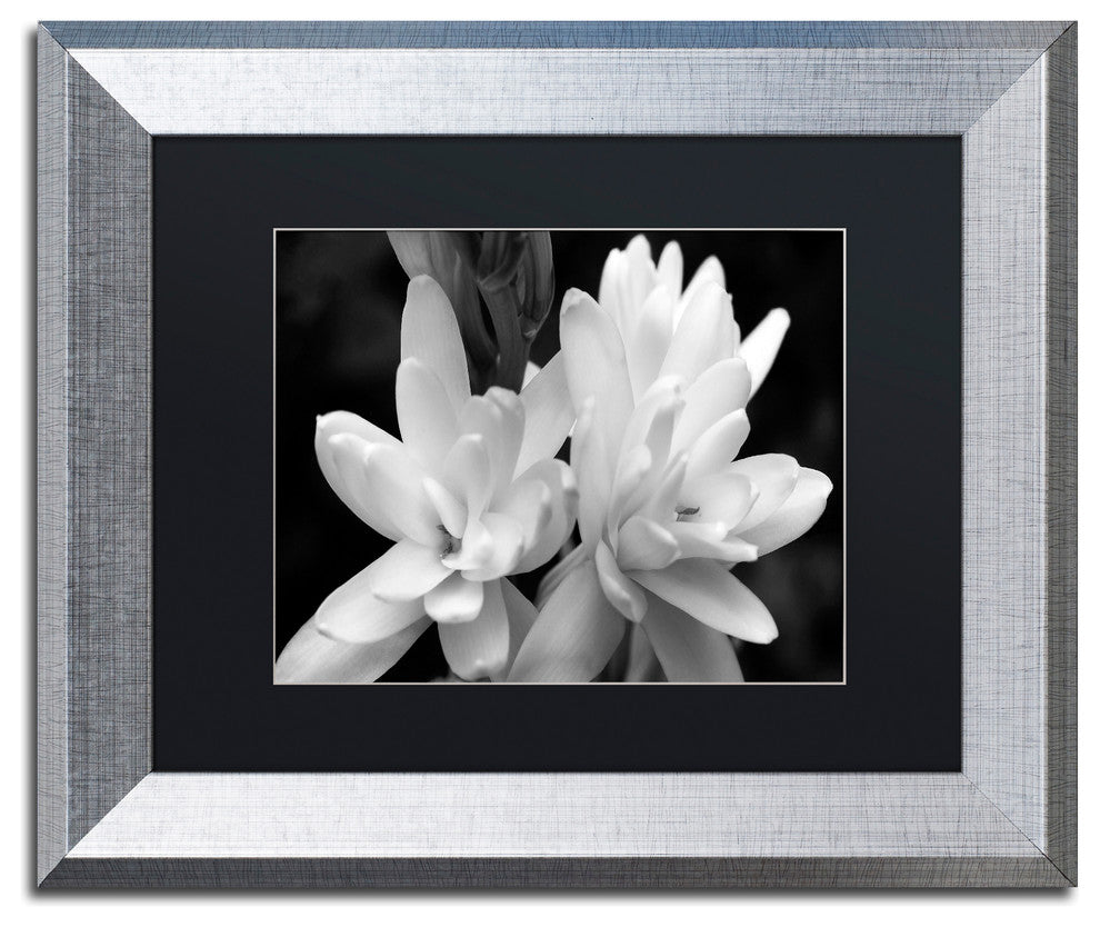 Kurt Shaffer 'Tuber Rose in Black and White' Matted Framed Art