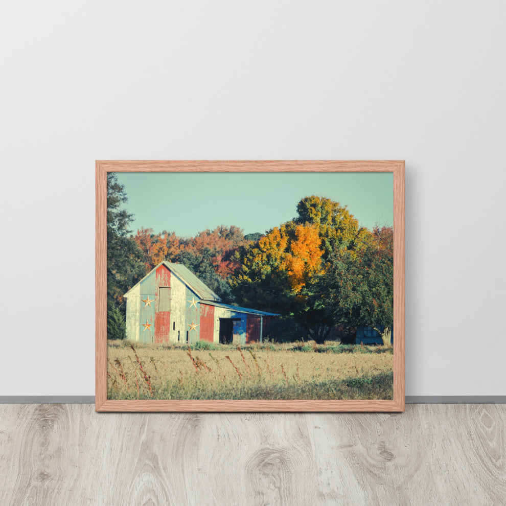 Patriotic Weathered Barn in Field Cross Processed Framed Photo Wall Art Prints, Red Oak, 16" X 20"