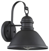1-Light Exterior Wall Sconce, Black