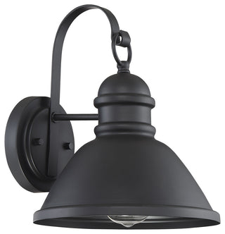 1-Light Exterior Wall Sconce, Black