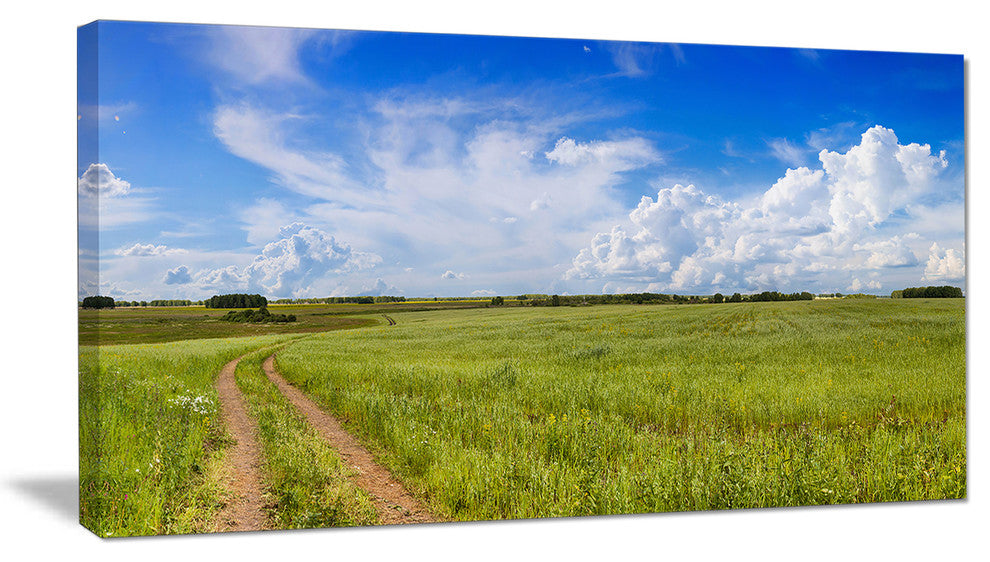 Road in Field with Green Grass, Landscape Canvas Art Print, 40x20