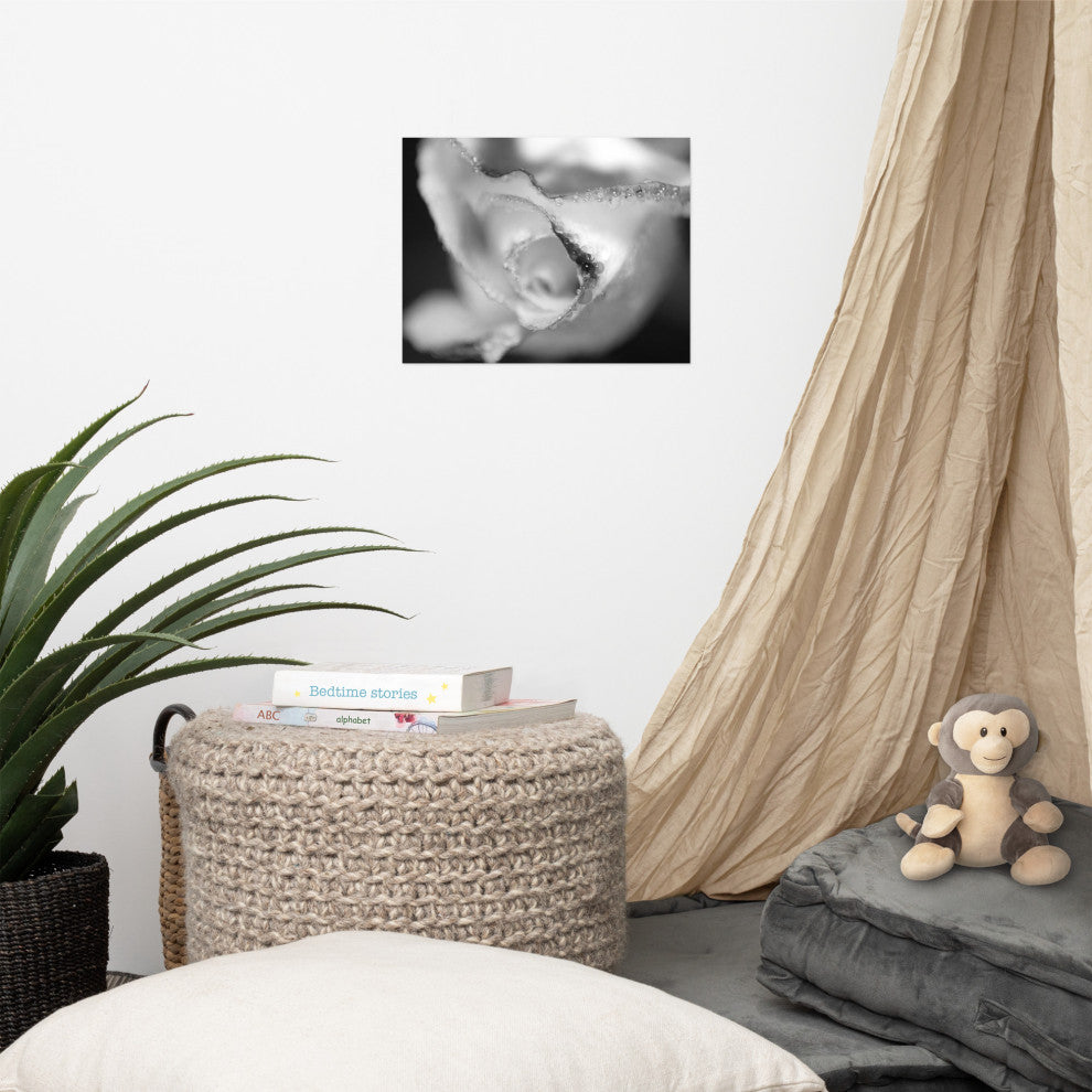 Infrared Rose Nature Photography, Floral Unframed Wall Art Print, 11" X 14"