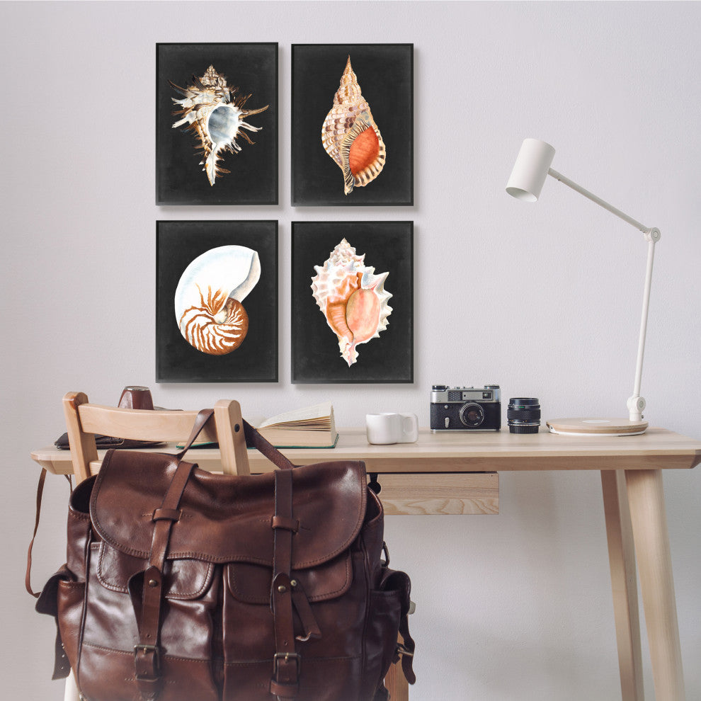 Sea Shell Clam Conch Collection Realistic Illustration , 4pc, each 11 x 14