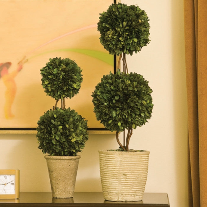 Elegant Double Ball Topiary Pot English Boxwood 20 in Classic Greenery Tabletop