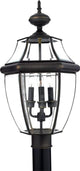 Quoizel Newbury Three Light Outdoor Lantern NY9043Z