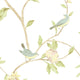 Rose Gardens 2, Romantic Floral Flower White, Green Wallpaper Sample