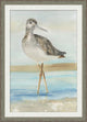 Sea Bird 4, Giclee Reproduction Artwork