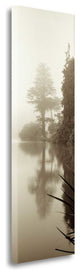 "Lakeside Tree - 2" By Alan Blaustein, Giclee Print on Gallery Wrap Canvas