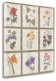 "Monument Etching Tile Flowers Square I" By Wild Apple, Gallery Wrap Canvas