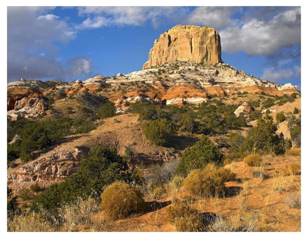 "Square Butte near Kaibito, Arizona" Paper Print by Tim Fitzharris, 50"x38"